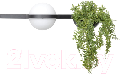 Бра Loftit Jardin 10121W/A - фото