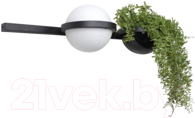 Бра Loftit Jardin 10121W/A