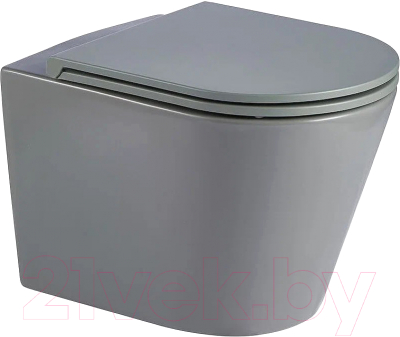 Унитаз подвесной WeltWasser WW Salzbach 041 MT-GR (серый матовый) - фото