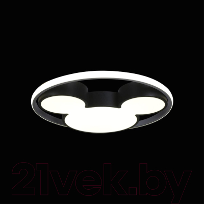 Потолочный светильник Loftit Mike 10165