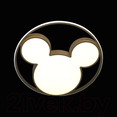 Потолочный светильник Loftit Mike 10168