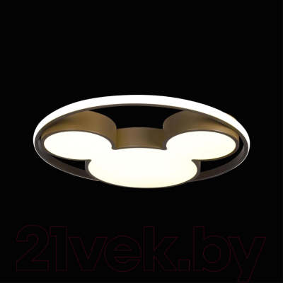 Потолочный светильник Loftit Mike 10168
