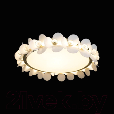 Потолочный светильник Loftit Bride 10175