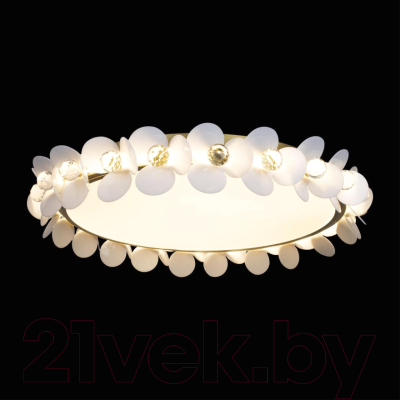 Потолочный светильник Loftit Bride 10176