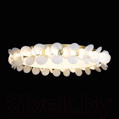 Потолочный светильник Loftit Bride 10176