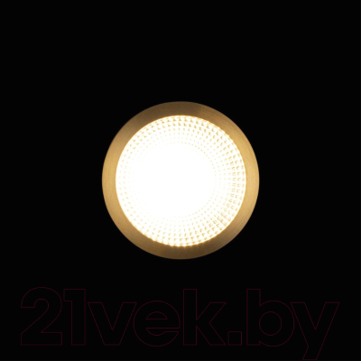 Потолочный светильник Loftit Solar 10187/A