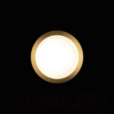 Потолочный светильник Loftit Solar 10187/B