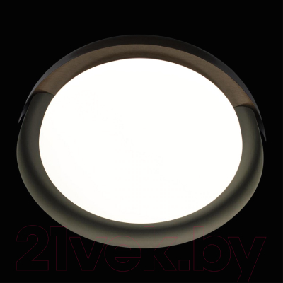 Потолочный светильник Loftit Coin 10198