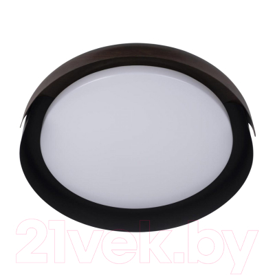 Потолочный светильник Loftit Coin 10198