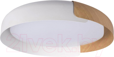 Потолочный светильник Loftit Coin 10198 - фото