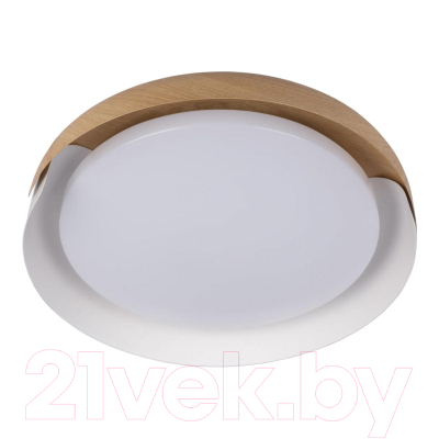 Потолочный светильник Loftit Coin 10198