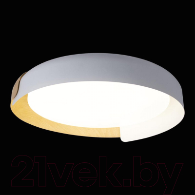 Потолочный светильник Loftit Coin 10198