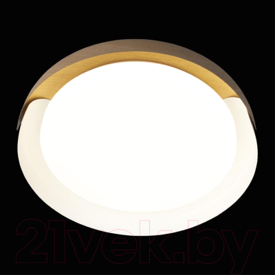 Потолочный светильник Loftit Coin 10198