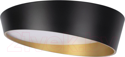 Потолочный светильник Loftit Coin 10199 - фото