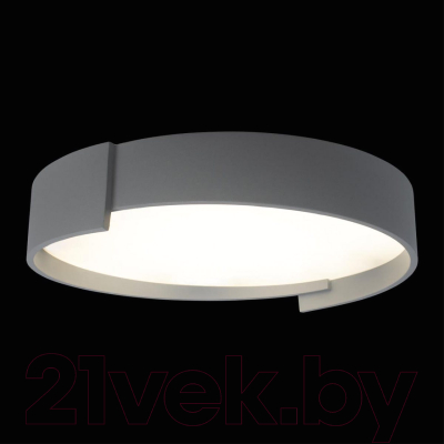 Потолочный светильник Loftit Coin 10200 (серый)