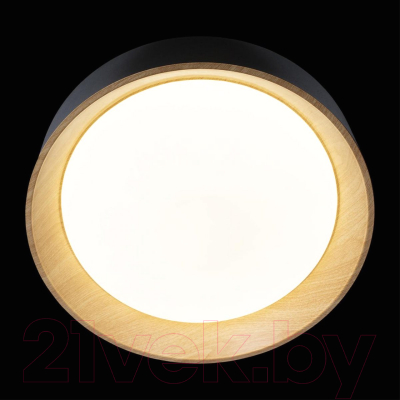 Потолочный светильник Loftit Coin 10202 (черный)