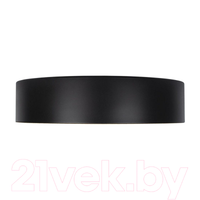 Потолочный светильник Loftit Coin 10202 (черный)