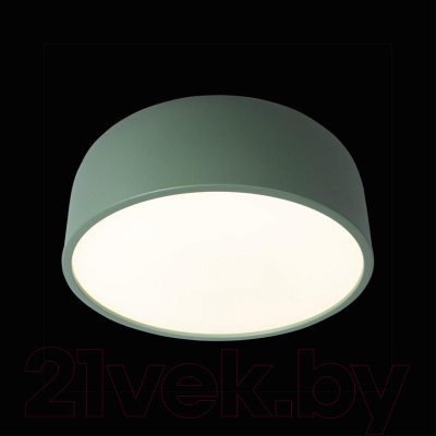 Потолочный светильник Loftit Coin 10201/350