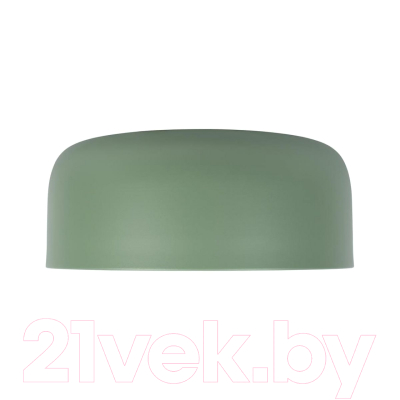 Потолочный светильник Loftit Coin 10201/350