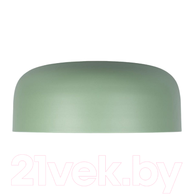 Потолочный светильник Loftit Coin 10201/480 (зеленый)