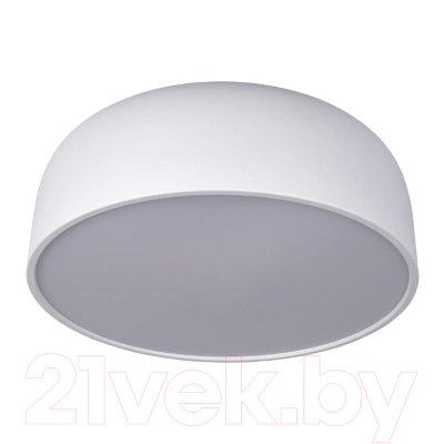 Потолочный светильник Loftit Coin 10201/480