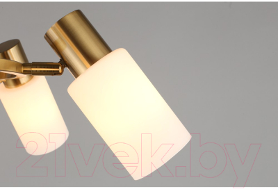 Люстра Omnilux Ales OML-69103-06 