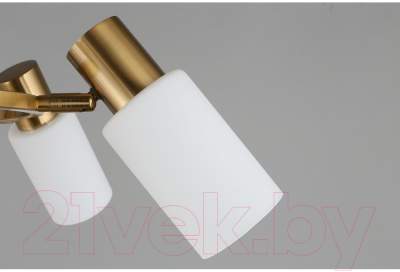 Люстра Omnilux Ales OML-69103-06 