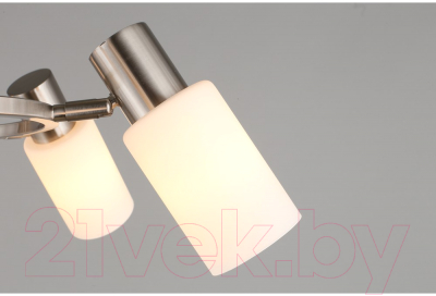 Люстра Omnilux Ales OML-69113-06 