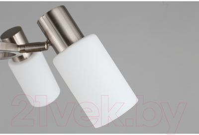 Люстра Omnilux Ales OML-69113-06 