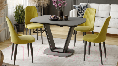 Обеденный стол ТриЯ Дели тип 2 (серый софт/стекло матовое серое)