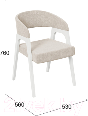 Стул ТриЯ Техас 1 W-101