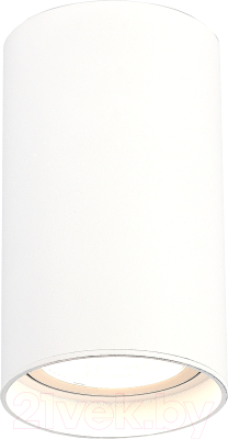 Потолочный светильник ST Luce ST157.542.20 - фото