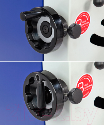 Циркулярный станок БЕЛМАШ TS-250ST1000 / S192A