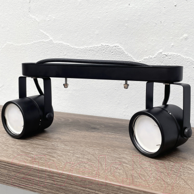 Спот Truenergy 21352