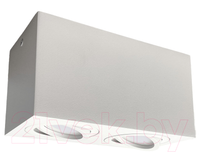 Точечный светильник Truenergy 21342 - фото