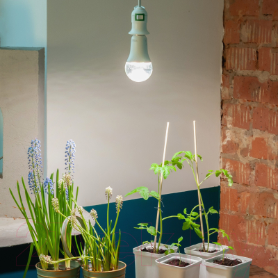 Лампа Uniel LED-A60-10W/SPFR/E27/CL PLP01WH / UL-00001820