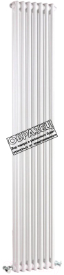 Радиатор стальной Arbonia RRN 2180/5 42 (подключение справа-налево) - фото