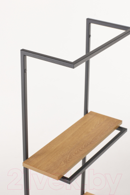 Полка РасГар Ассистент (черный/дуб сантана)