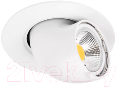 Точечный светильник Lightstar Braccio 011060 - фото