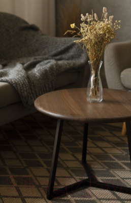 Журнальный столик Stal-Massiv 54x42.5 / SMT-54DD (дуб мореный/черный)