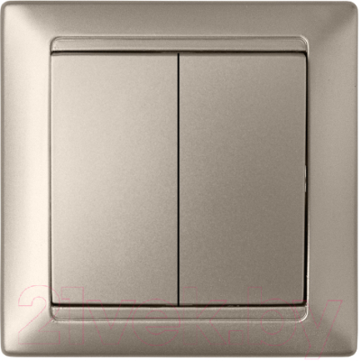 Выключатель Bylectrica Стиль С5 10-803 - фото