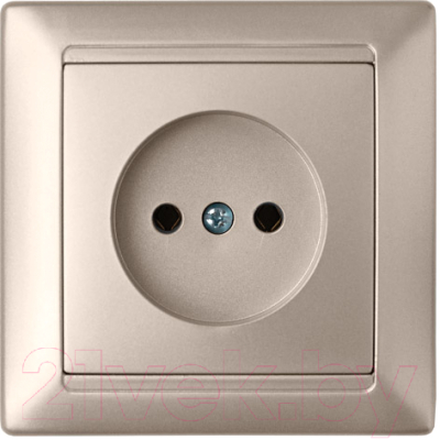 Розетка Bylectrica Стиль РС16-305 - фото