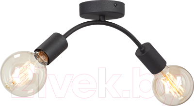 Потолочный светильник Vitaluce V4989-1/2PL - фото