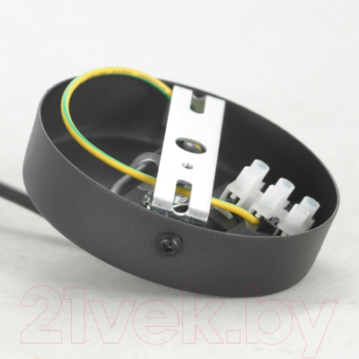 Потолочный светильник Lussole LSP-8488