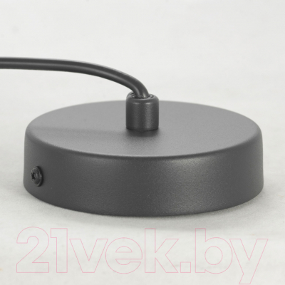 Потолочный светильник Lussole LSP-8490