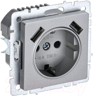 Розетка IEK Brite BR-R14-16-U21-D21-K47 - фото