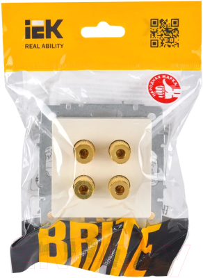 Розетка IEK Brite BR-S40-K10