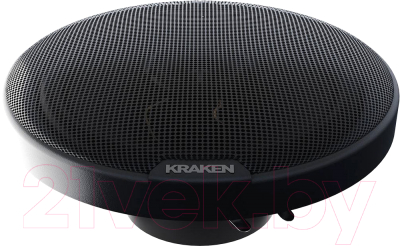 Коаксиальная АС Prology RX-165 - фото