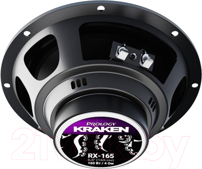 Коаксиальная АС Prology RX-165