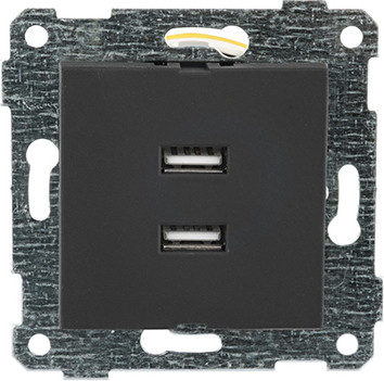 Розетка Mutlusan Rita 2xUSB Type-A 2200-449-0184 - фото